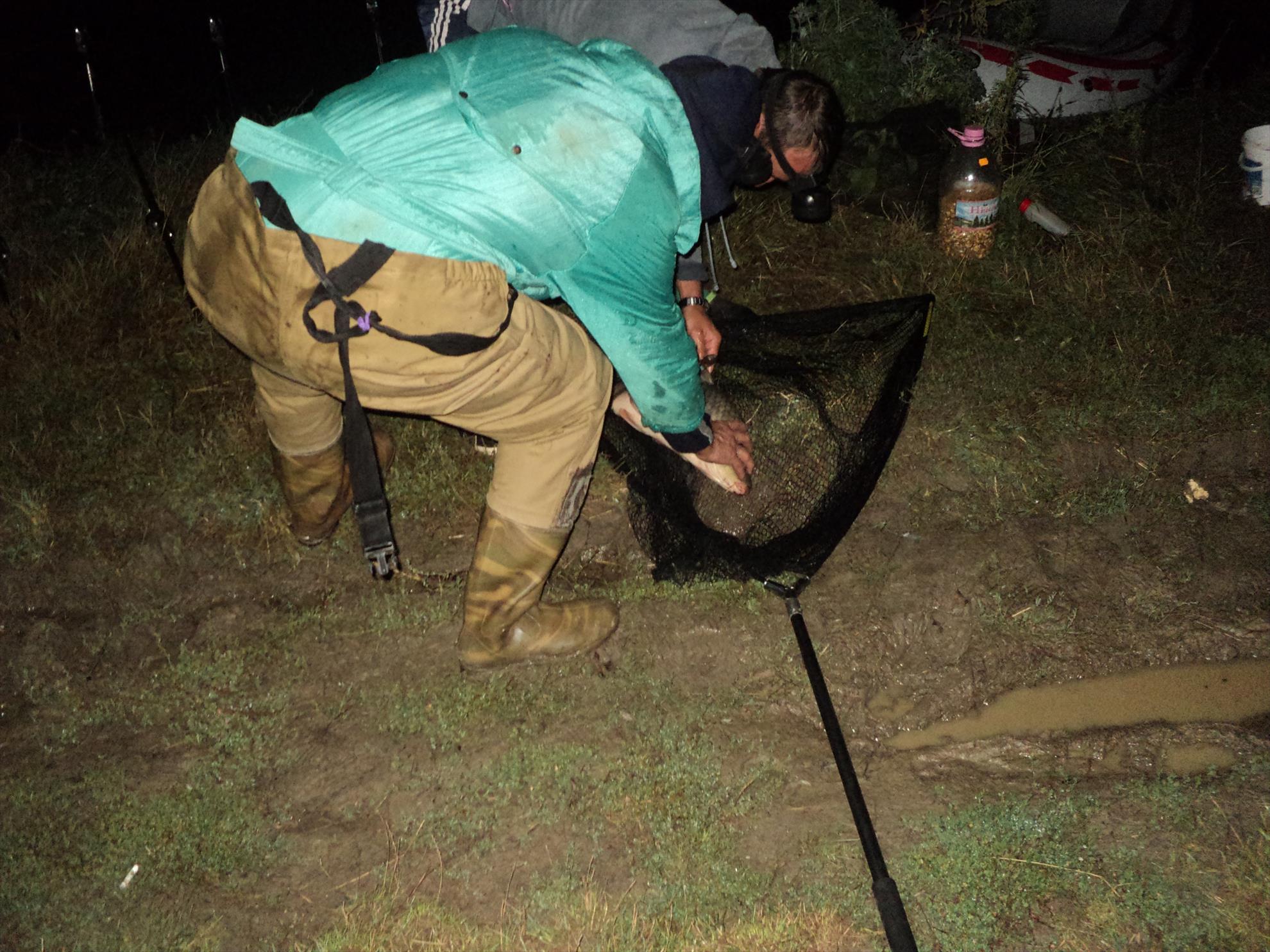 o mica parte din pesti de anul trecut - dsc01903.JPG